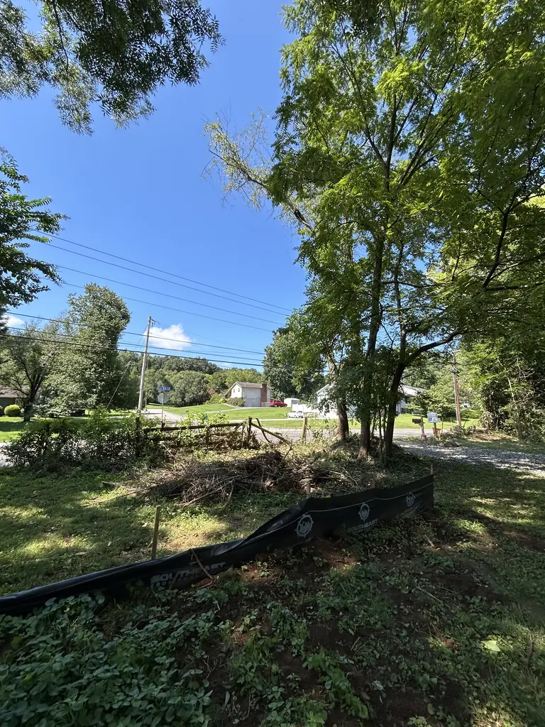 Roadside and driveway edge cleared of overgrown brush in Knoxville, Tennessee