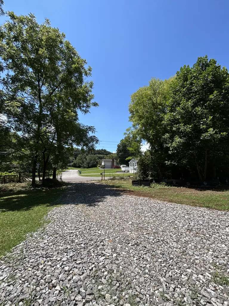 Clean gravel driveway with the edges cleared of brush in Knoxville, Tennessee
