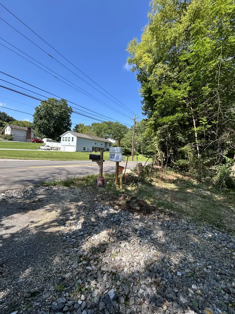 Overgrown brush along a mailbox and gravel driveway edge in Knoxville, Tennessee