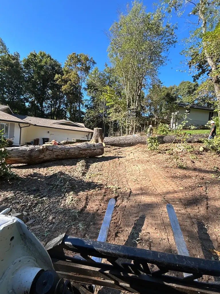 Cleared lot with logs and heavy equipment working in Knoxville, Tennessee