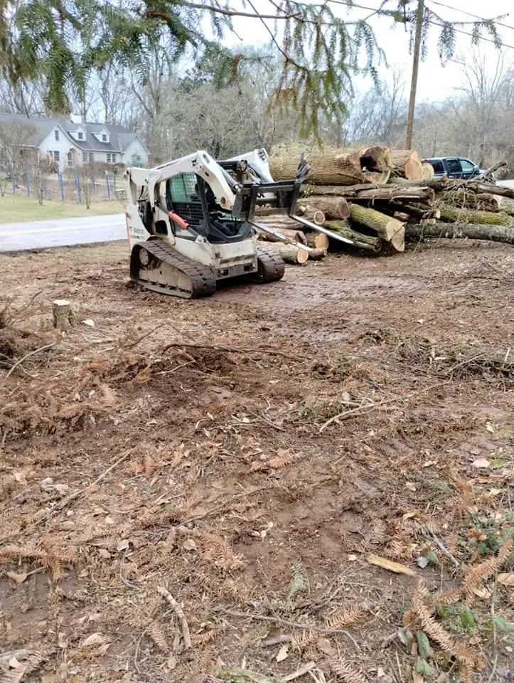 Skid steer pushing logs on a lot being cleared in Knoxville, Tennessee