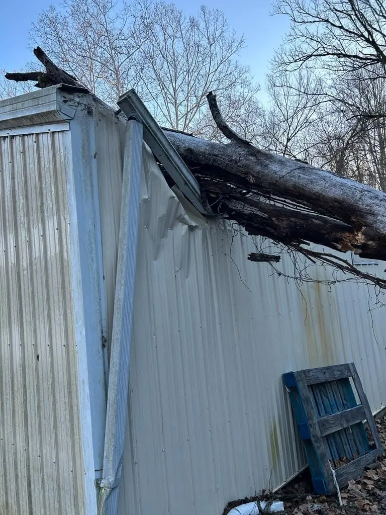 Tree trunk crushing the roof of a metal barn in Knoxville, Tennessee