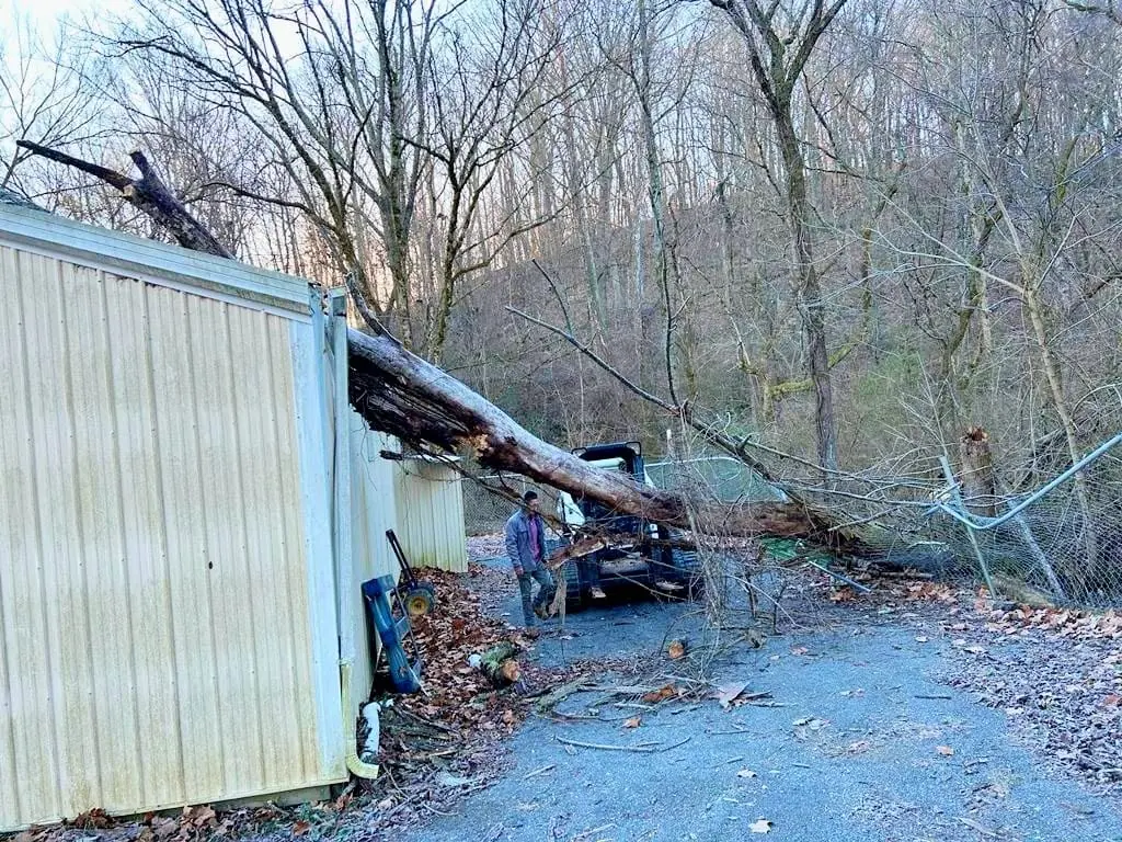 Tree fallen across a metal building after a storm in Knoxville, Tennessee