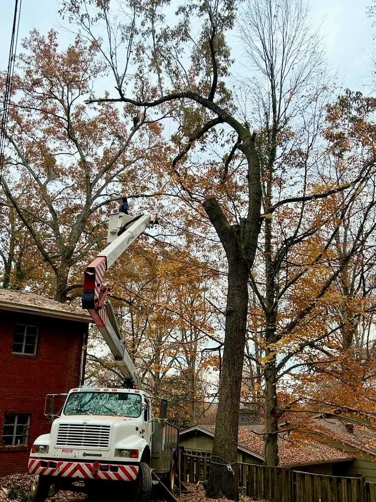 Bucket truck set up beside a red brick house in autumn in Knoxville, Tennessee