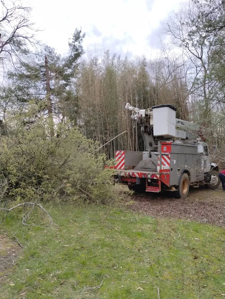 Bucket truck parked on a brushy rural property near Knoxville, Tennessee