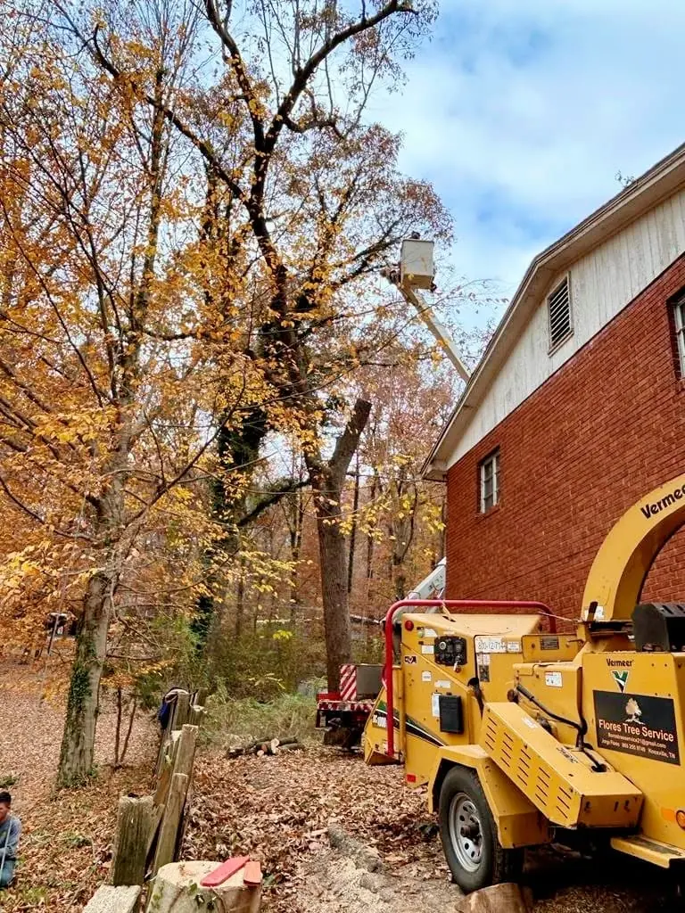 Wood chipper working beside a red brick building in autumn in Knoxville, TN