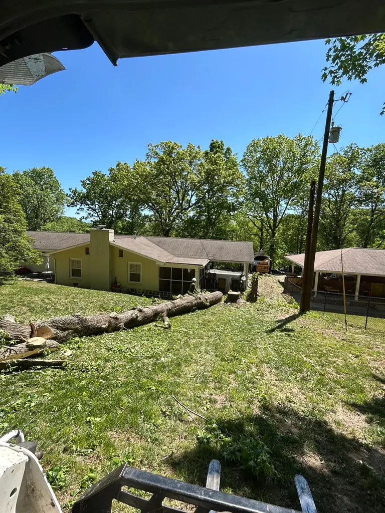 Backyard cleared with the logs stacked along the fence line in Knoxville, TN