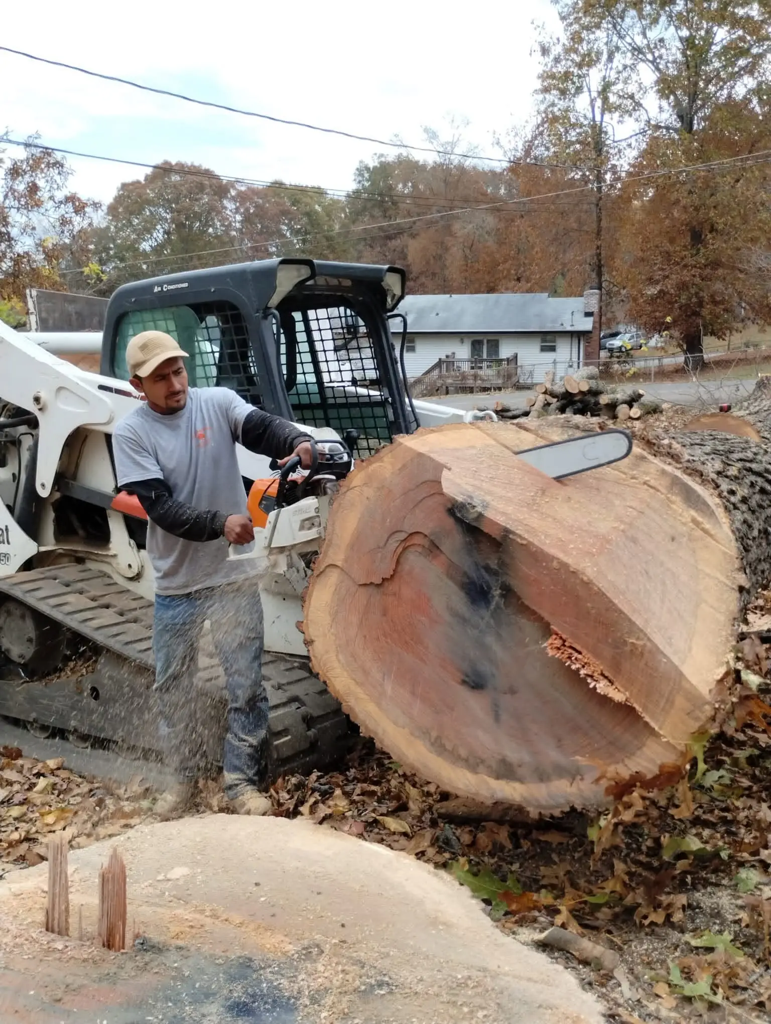 Crew member with a chainsaw beside a large log round and the skid steer