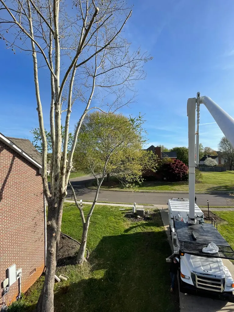 Dead tree beside a brick home with the bucket truck boom in position