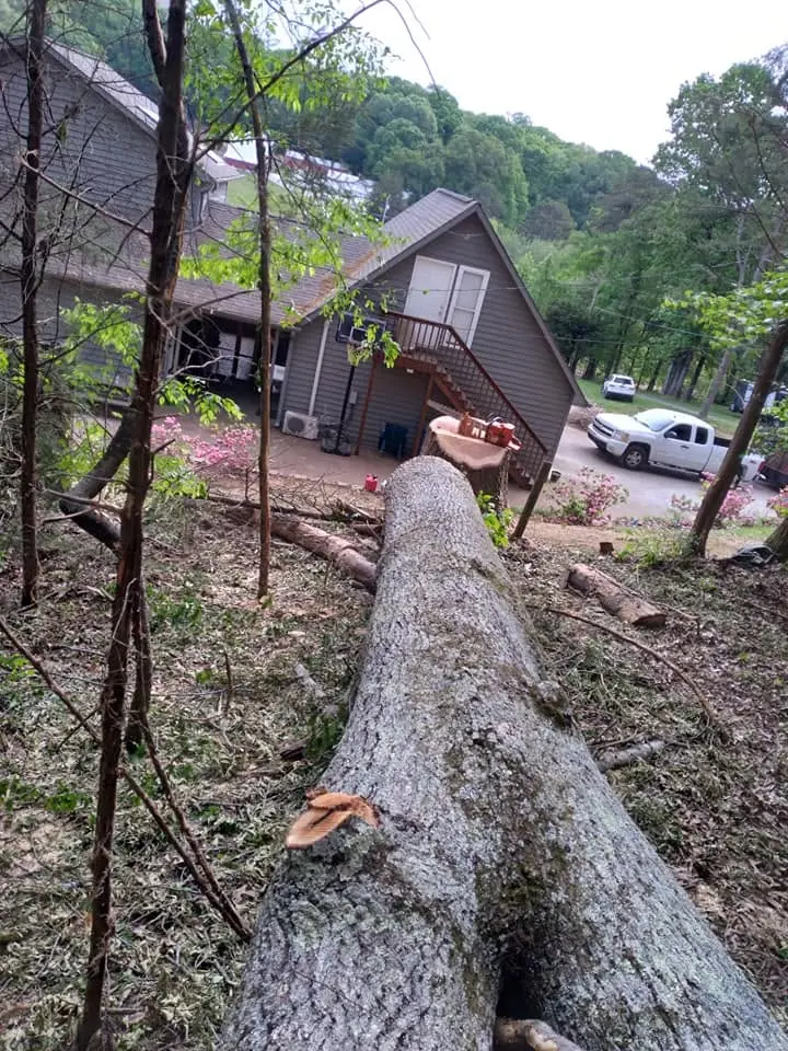 Long felled log on the ground in front of an A-frame home in Knoxville, TN