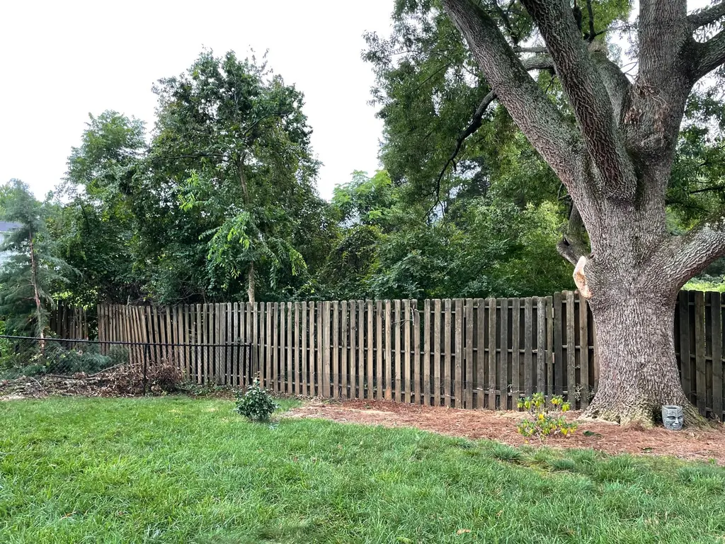 The same backyard finished and mulched after the oak work in Knoxville, TN