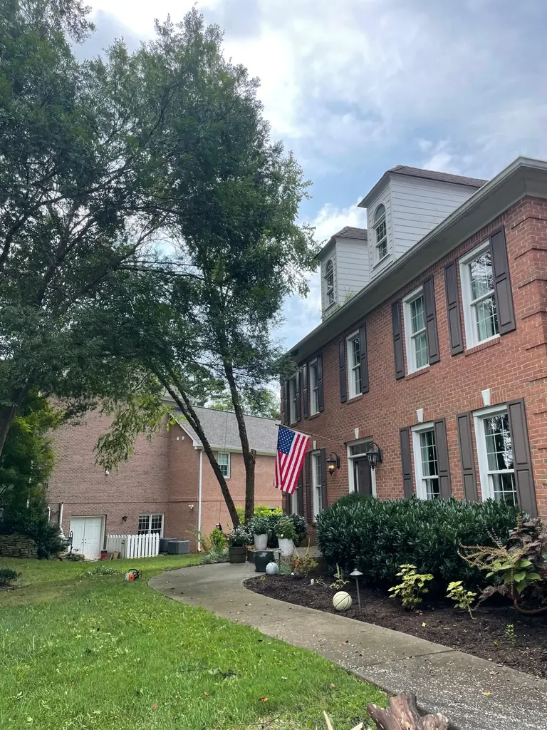 Step 02: honest diagnosis on a Flores Tree Service job in Knoxville, Tennessee