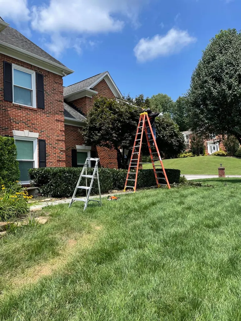 Ladders set against a two-story brick home for tree access in Knoxville, TN