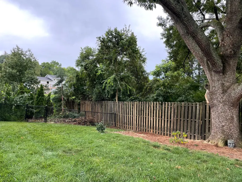 Backyard cleared around a large oak trunk beside a wood fence in Knoxville, TN