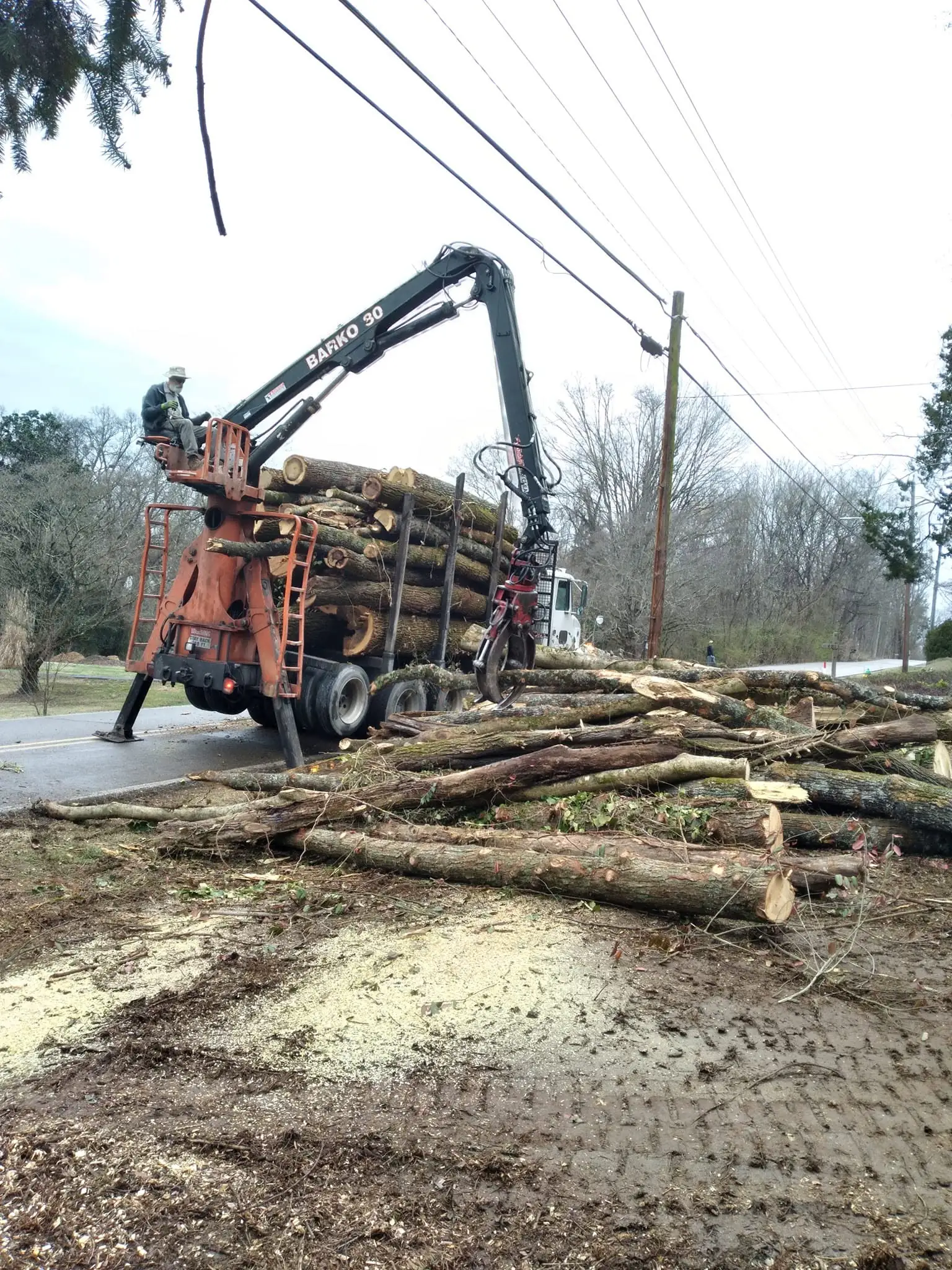 Knuckleboom log loader loading logs out of a Knoxville, Tennessee job site