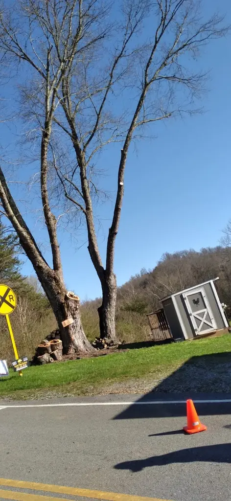 Step 03: we protect the property on a Flores Tree Service job in Knoxville, Tennessee