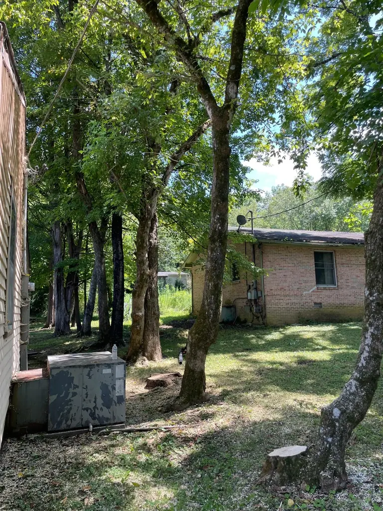 Several mature trees growing close to a brick home in Knoxville, Tennessee