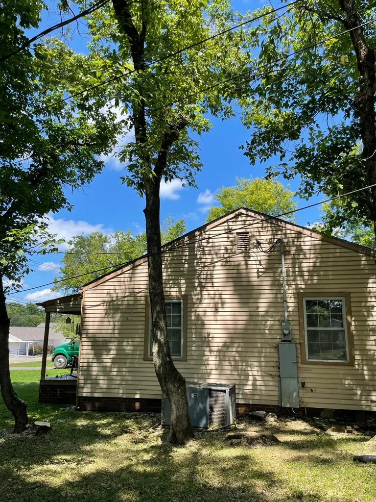 Trees growing tight against the wall of a house in Knoxville, Tennessee