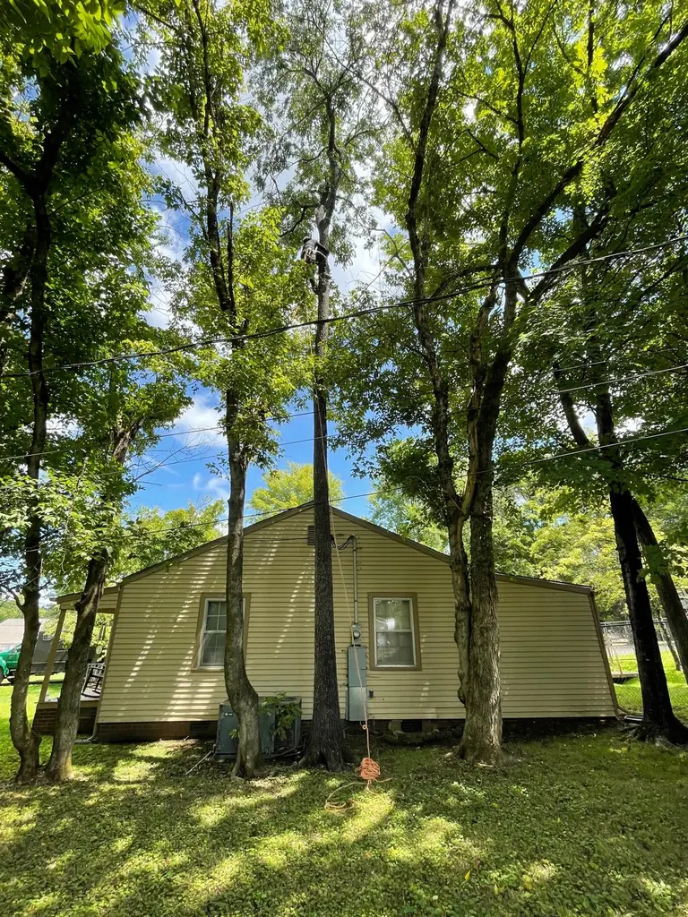 Mature trees overhanging the roof of a home in Knoxville, Tennessee